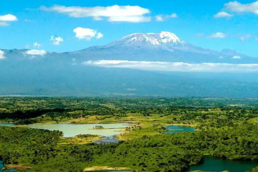 🕓Arusha: Kilimanjaro Airport (JRO) Taxi& Transfers to Arusha