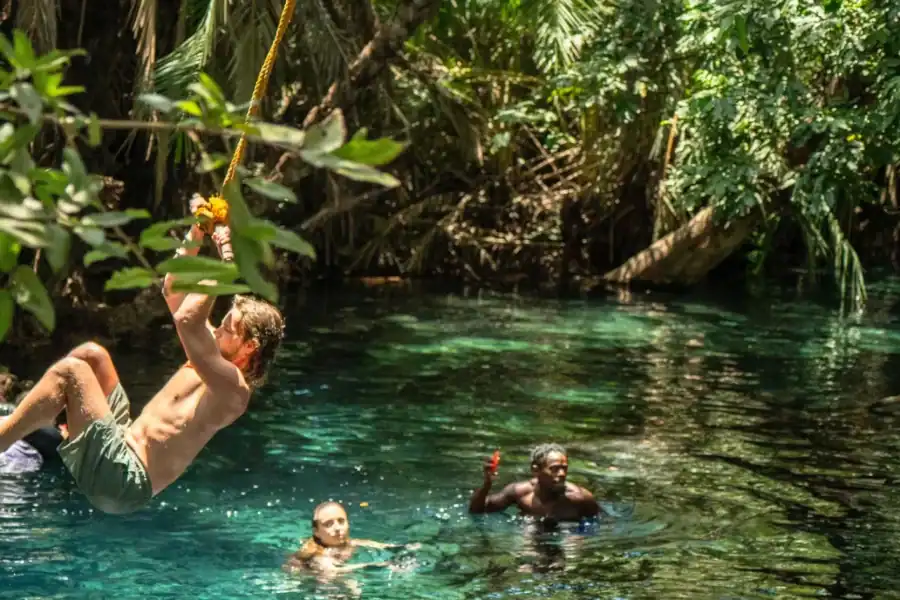 🕓Arusha or Moshi : Hot Spring, Waterfall& Coffee Farm Tour