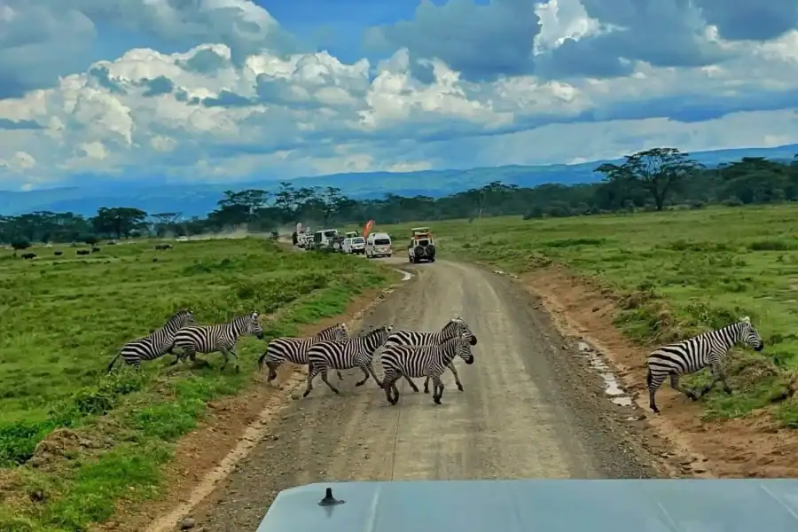 🕓Arusha :Tarangire National Park Day Trip