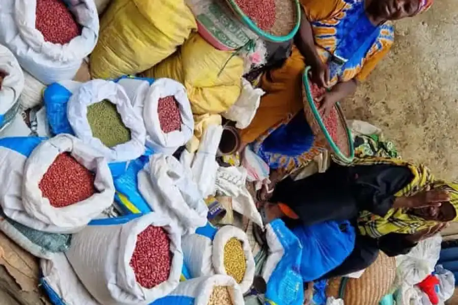 🚸Authentic Mtwapa Village Tour Experience In Mombasa