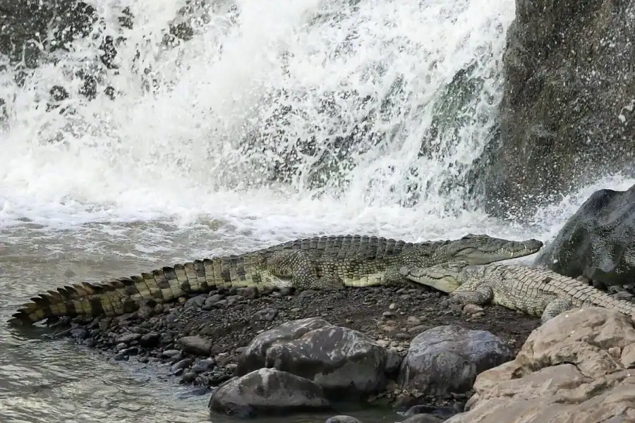 🕓Awash National Park – Safari& Waterfall Views