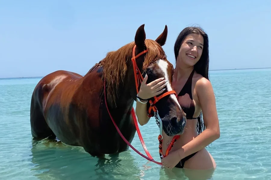 🕓Beach& Desert Horse Riding with Swimming& Transfers