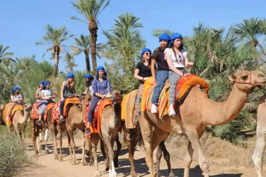 🕓Biskra: Sahara Desert Camel Ride with Guide