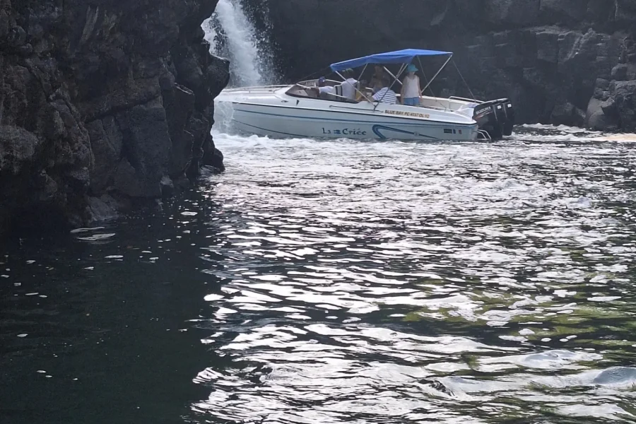 🕓Blue bay: boat trip for ile au cerf (5 islands, barbecue)