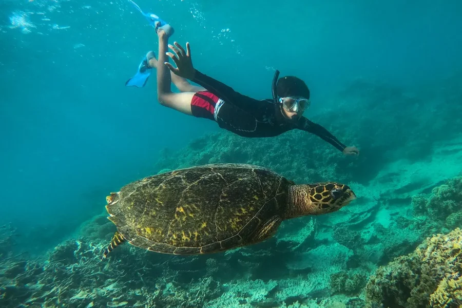 🕓Blue Bay Marine Park – 2 hour Snorkeling Excursion