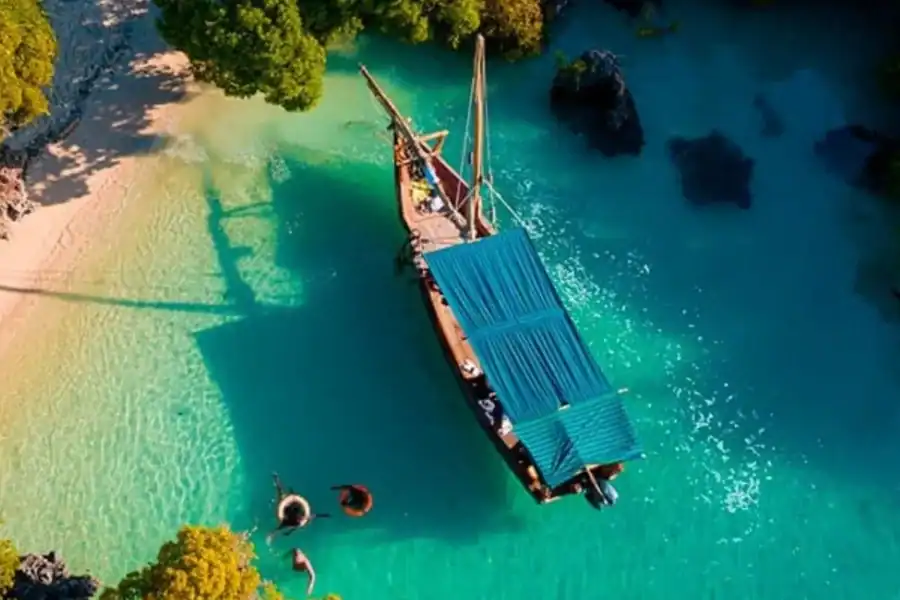 🕓Blue Lagoon, Kwale Island, Starfish Tour, Snorkeling Tour