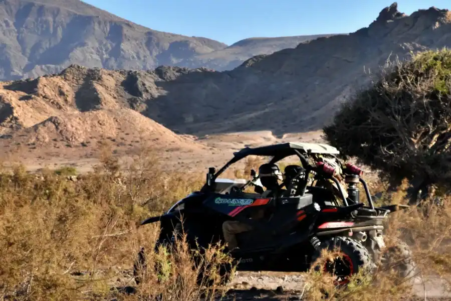 🕓Boa Vista Buggy Tour: Death Valley Adventure (2-Hour)