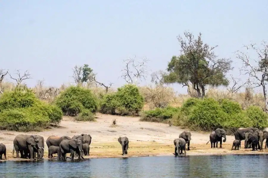 🕓Botswana: Chobe National Park Full Day Trip