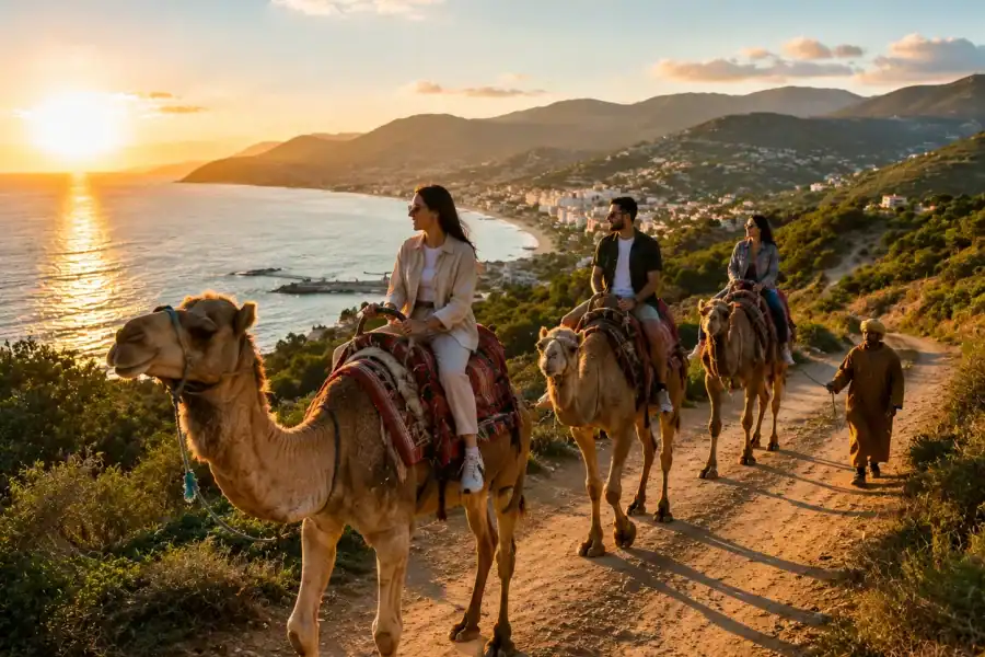 🕓Boumerdès: Camel Ride with Scenic Views and Refreshments