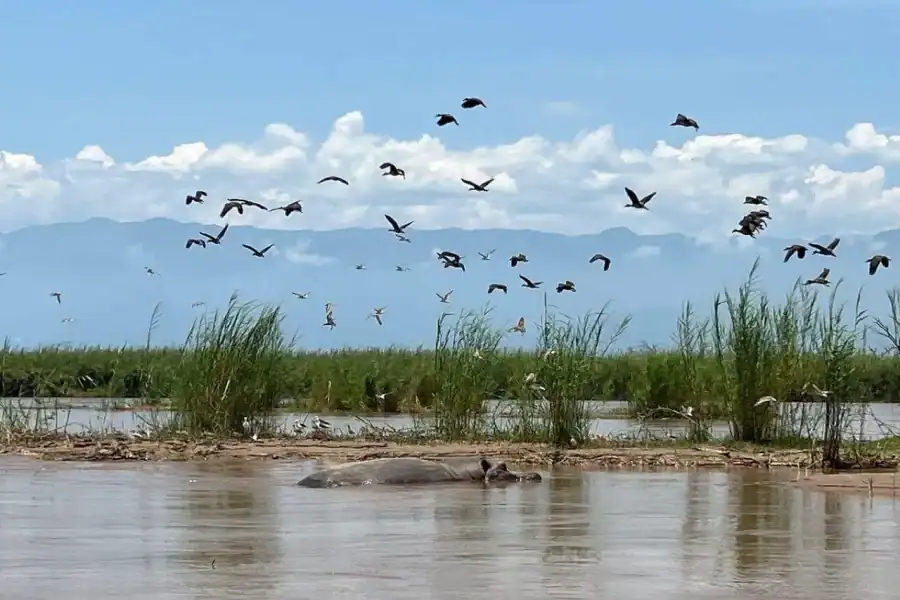 🕓Bujumbura: Overnight City Tour with Lake Tanganyika Sunset