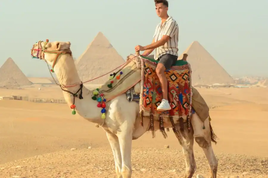 🕓Cairo: Camel Ride Around The Pyramids with Hotel Pickup