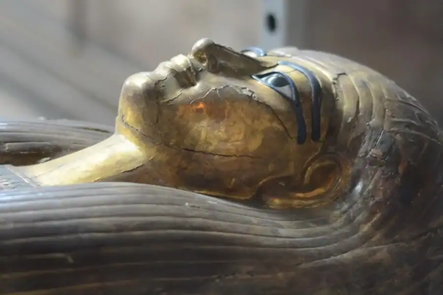 🕓Cairo: Egyptian Museum, Citadel, and Old Cairo Guided Tour