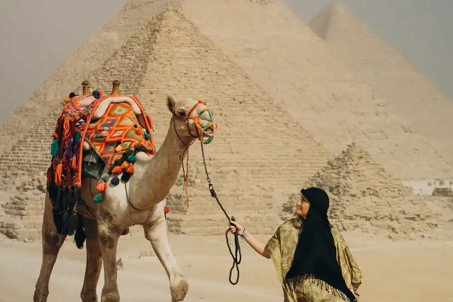 🕓Cairo: Giza Pyramids Camel Ride and Egyptian Museum Tour