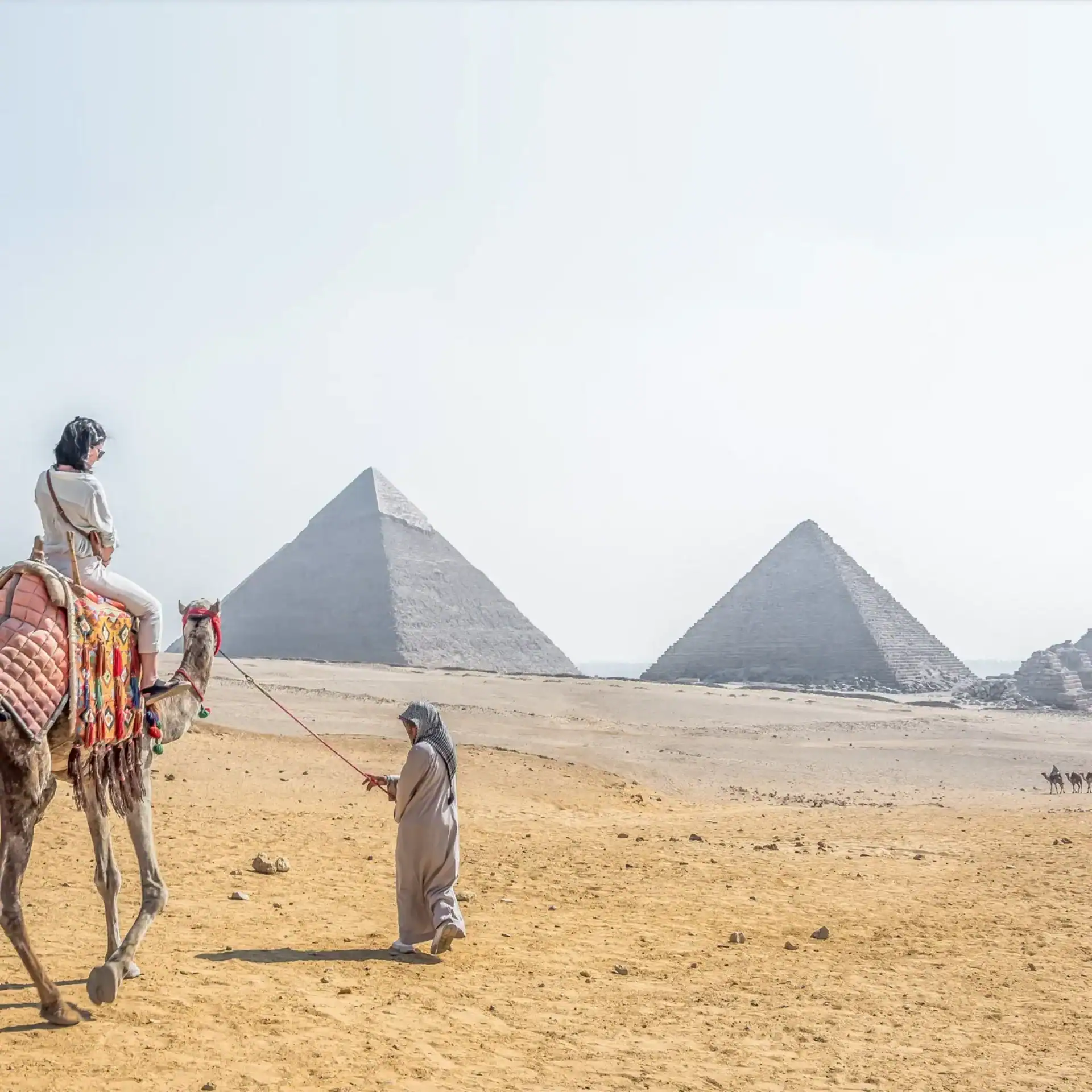 🕓Cairo: Pyramids, Sphinx, Saladin Citadel& Bazaar Day Tour