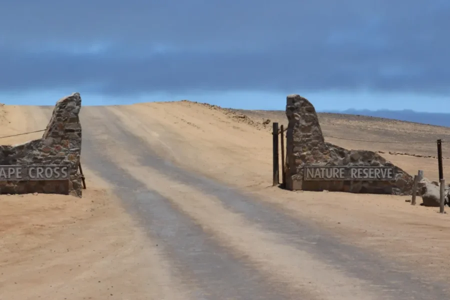 🕓Cape Cross, Seals and River Desert Nature Tour [New Route]
