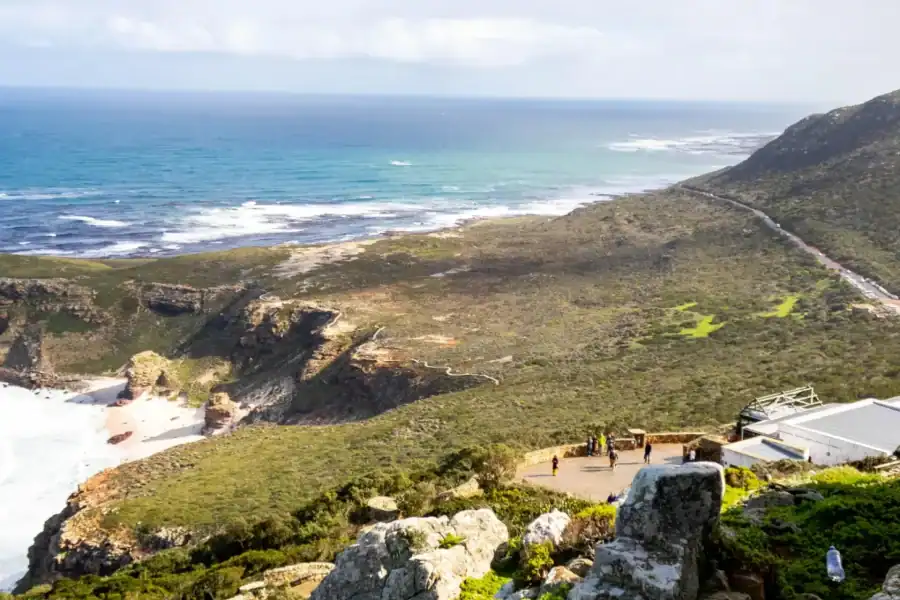 🕓Cape Peninsula: Private Full Day Tour