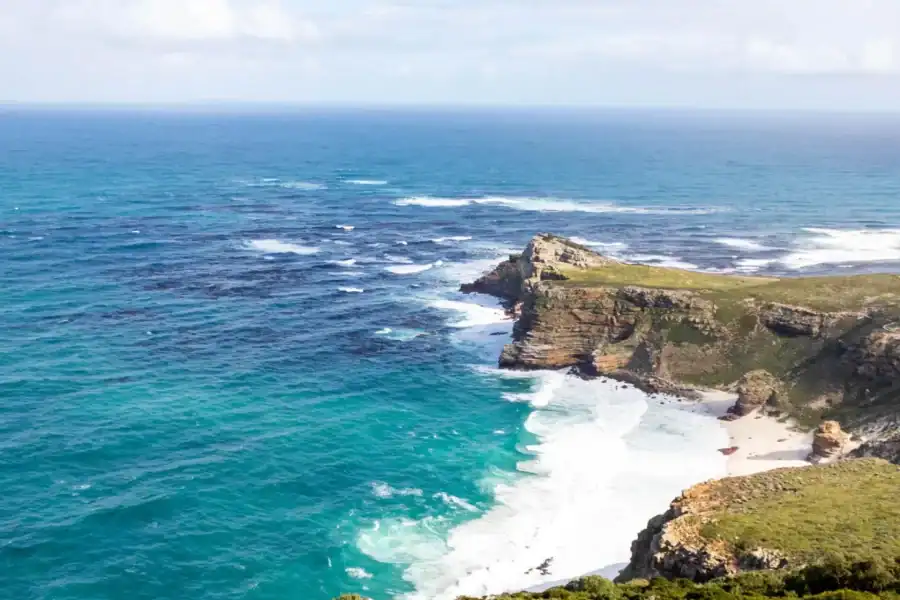 🕓Cape Peninsula: Private Half Day Tour