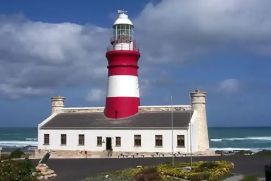 🕓Cape Town: 3-Day Garden Route Safari and Wine Tour