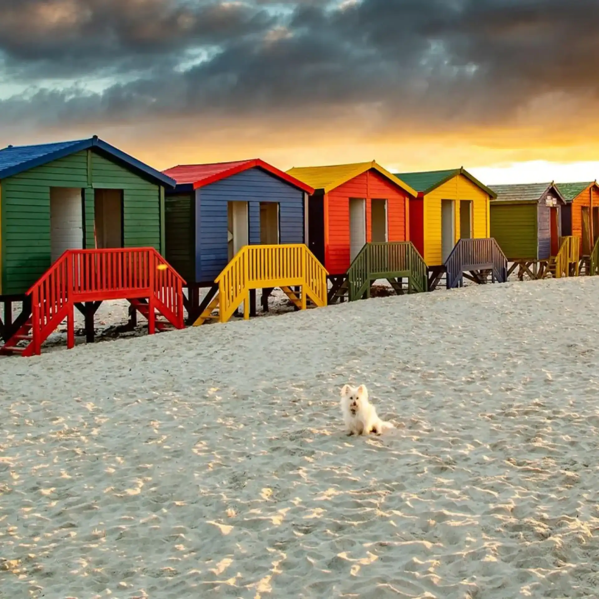 🕓Cape Town: Full-Day Cape Peninsula Tour with Transfers