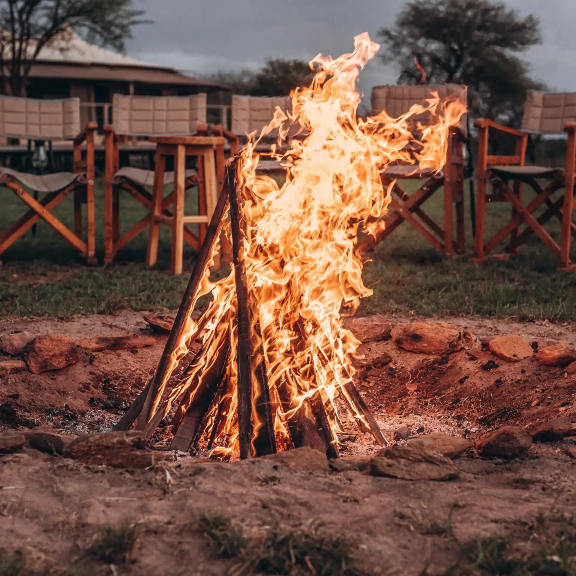 🕓Cape Town: Karoo Wildlife Explorer with 2 Nights Safari Stay