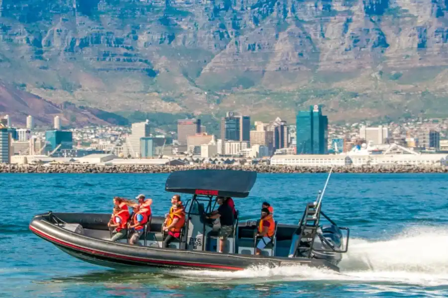 🕓Cape Town Ocean Safari: Speed Boat Adventure in Table Bay