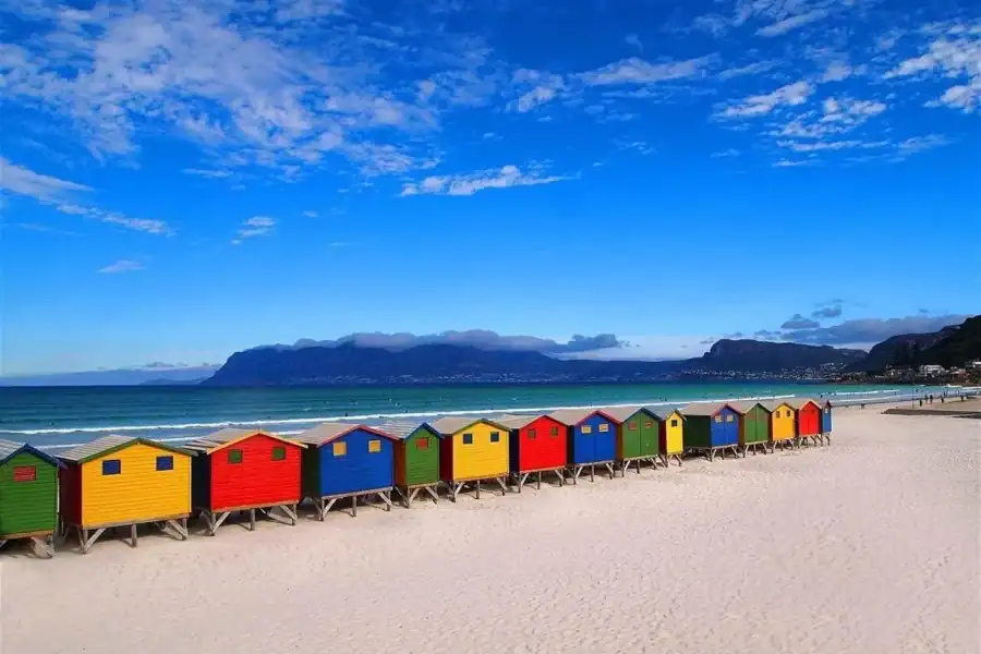 🕓Cape Town: Penguins& Cape of Good Hope Half-Day Tour