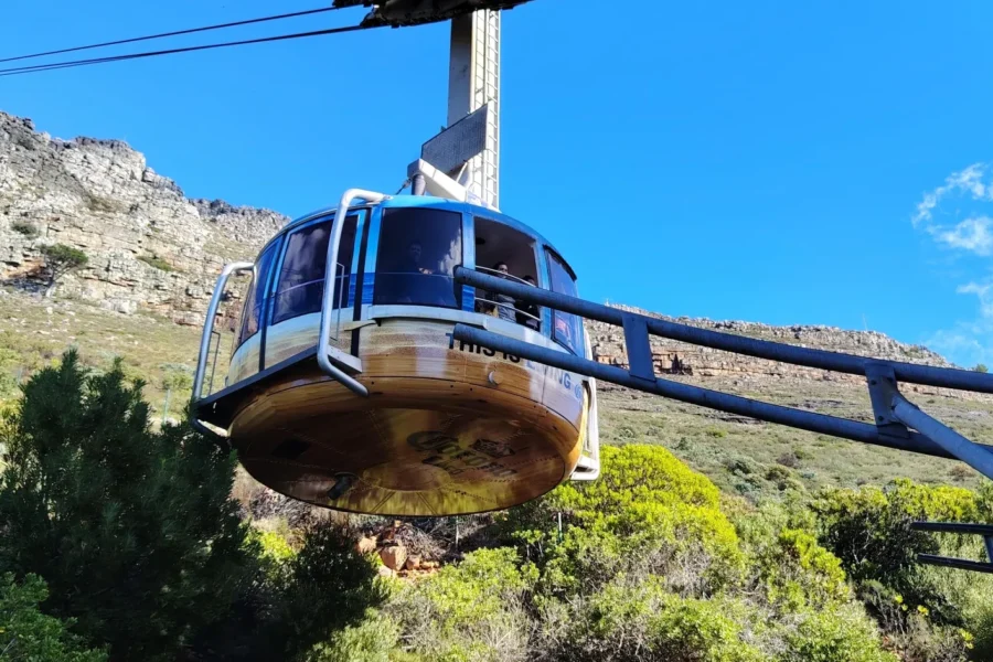 🕓Cape Town: Table Mountain Fast Track& Zipline Adventure