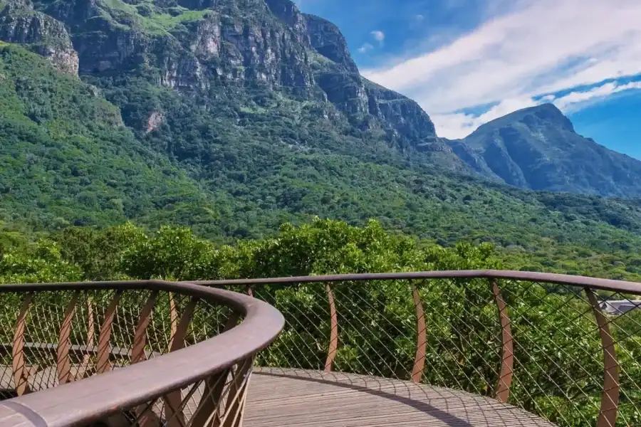 🕓Cape Town: Table Mountain, Kirstenbosch Botanic Garden Tour