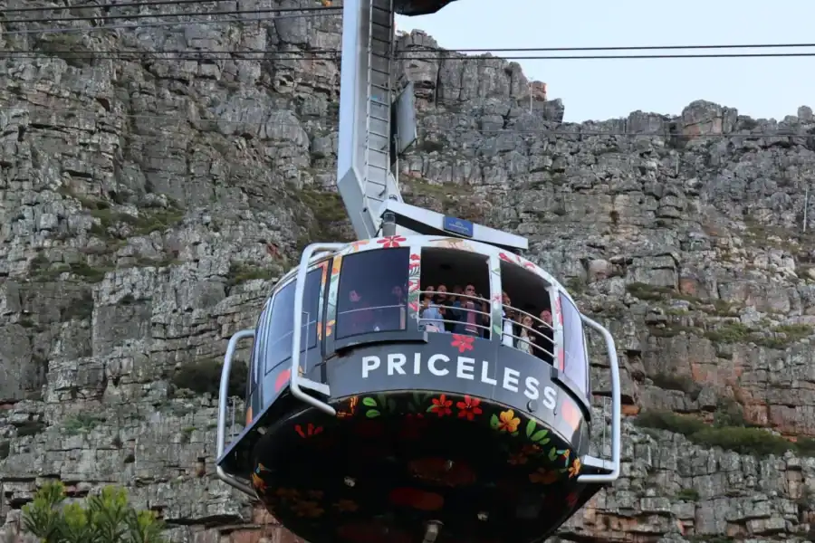 🕓Cape Town: Table Mountain, Penguins& Cape Point Group Tour