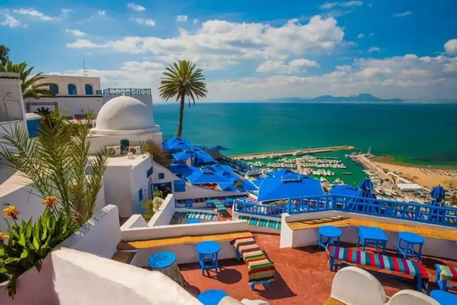 🕓Carthage& Sidi Bou Said Tour from Mahdia