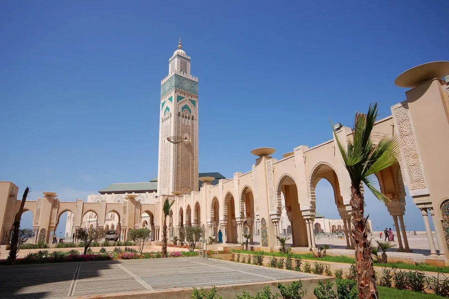 🕓Casablanca Day Tour from Marrakech and Big Mosque Visit
