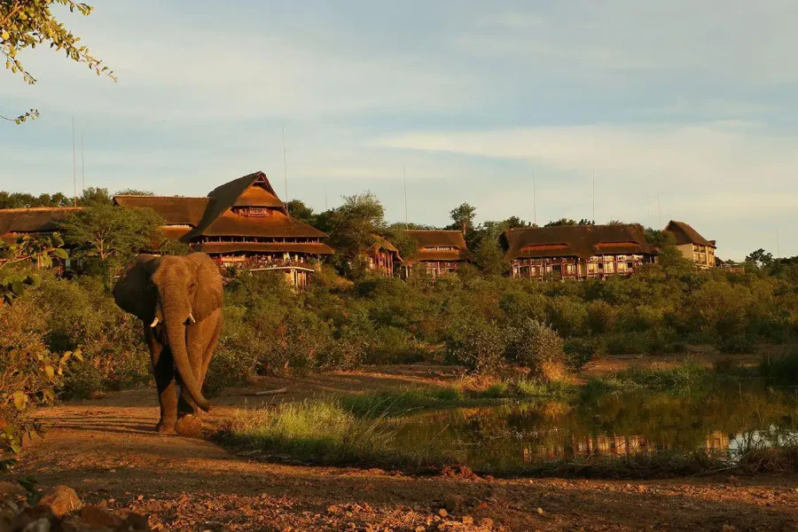 🕓Chobe Day Trip From Livingstone Town