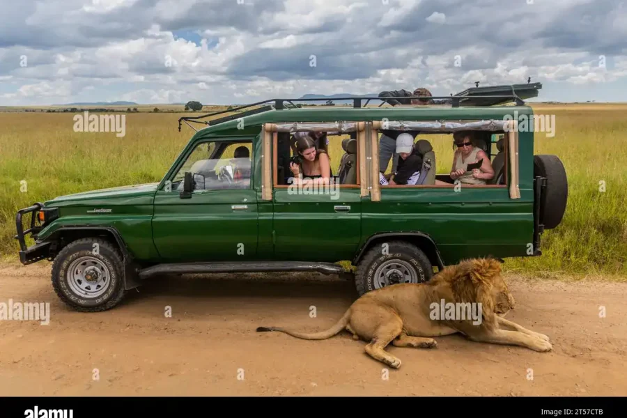 🕓Chobe day trip from Victoria Falls- 06:30am to 18:30 hours