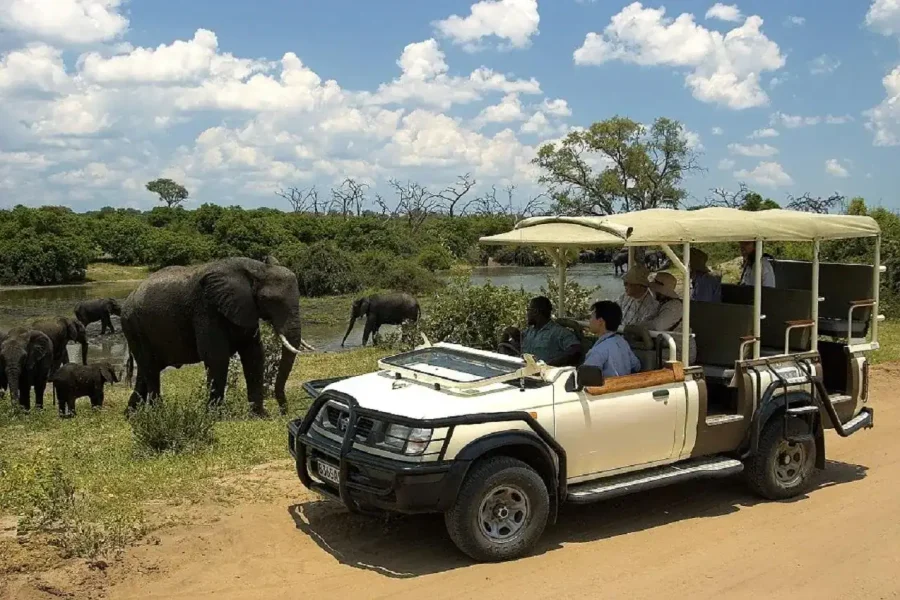 🕓Chobe day trip from Victoria Falls