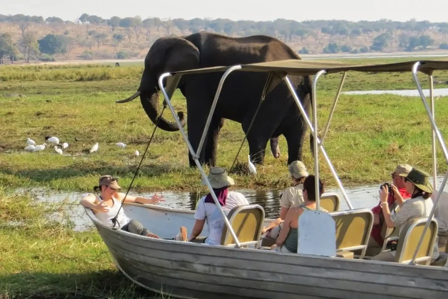 🕓Chobe Day Trip from Victoria Falls, Zimbabwe