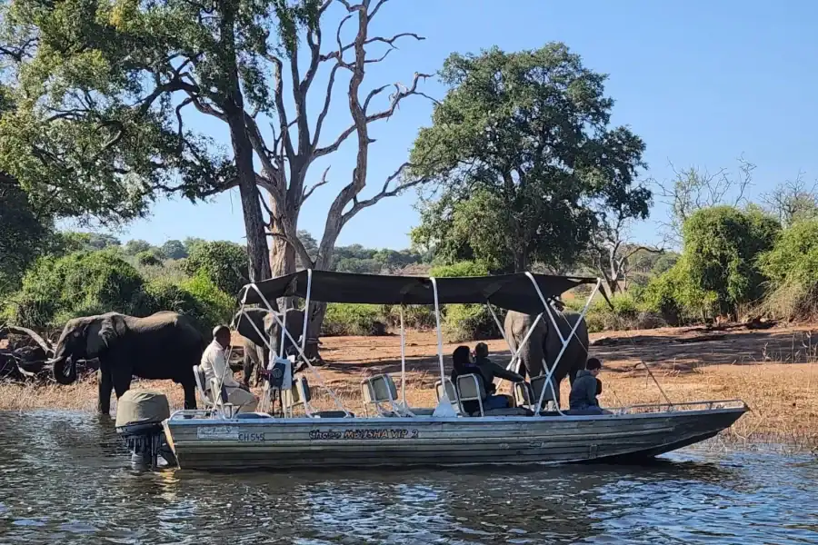 🕓Chobe Express River Safari + Pickup