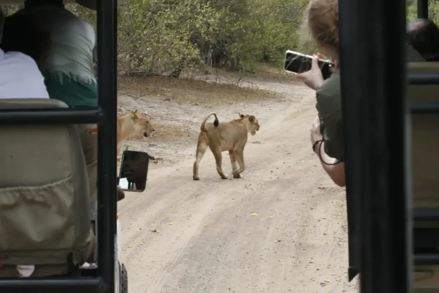 🕓Chobe Extended Day Trip