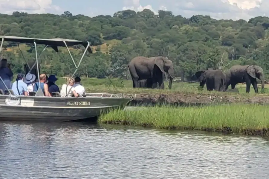 🕓Chobe Full Day Tour – Botswana