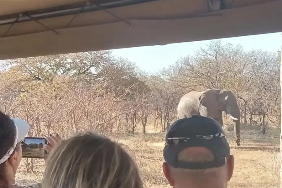🕓Chobe full day trip