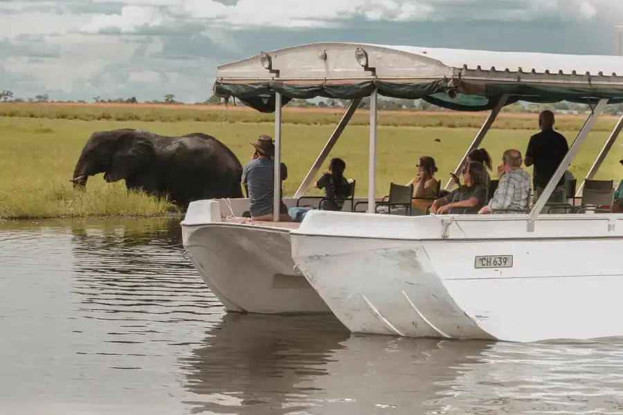 🕓Chobe National Park With lunch: From Victoria Falls Zimbabwe