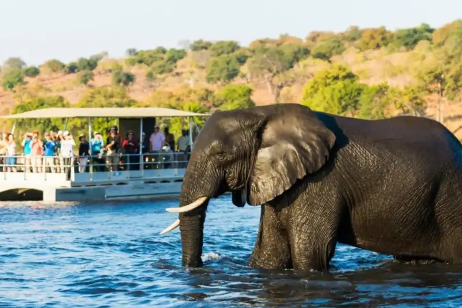 🕓Chobe : Sunset Cruise