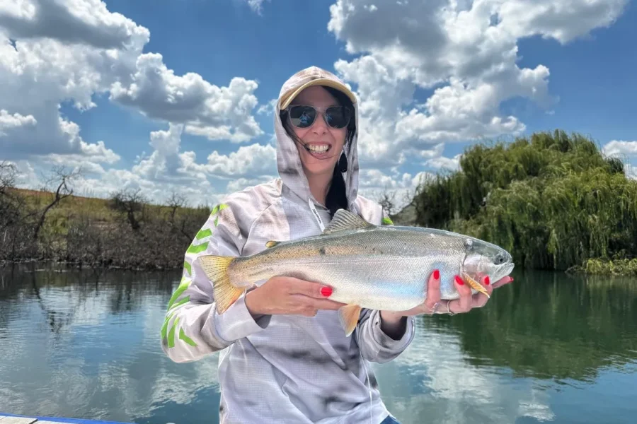 🕓Clarens: Guided Fly Fishing Experience on the Ash River.