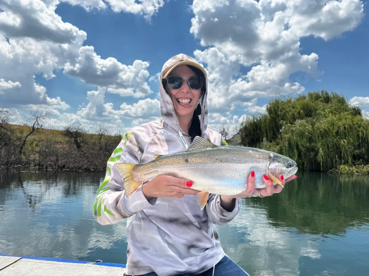 🕓Clarens: Guided Fly Fishing Experience on the Ash River.