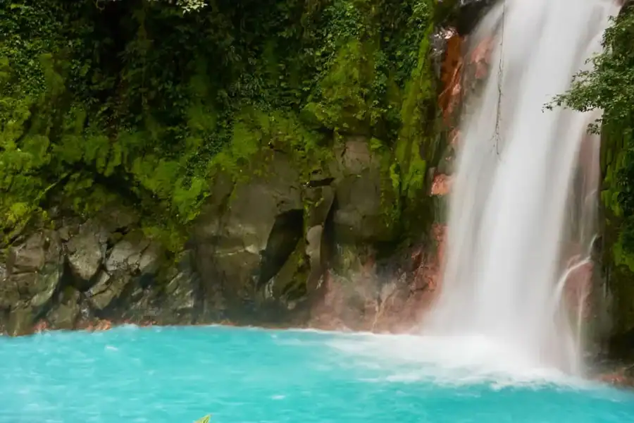 🕓Costa Rica Rain Forest Experience: 5 Days Tour