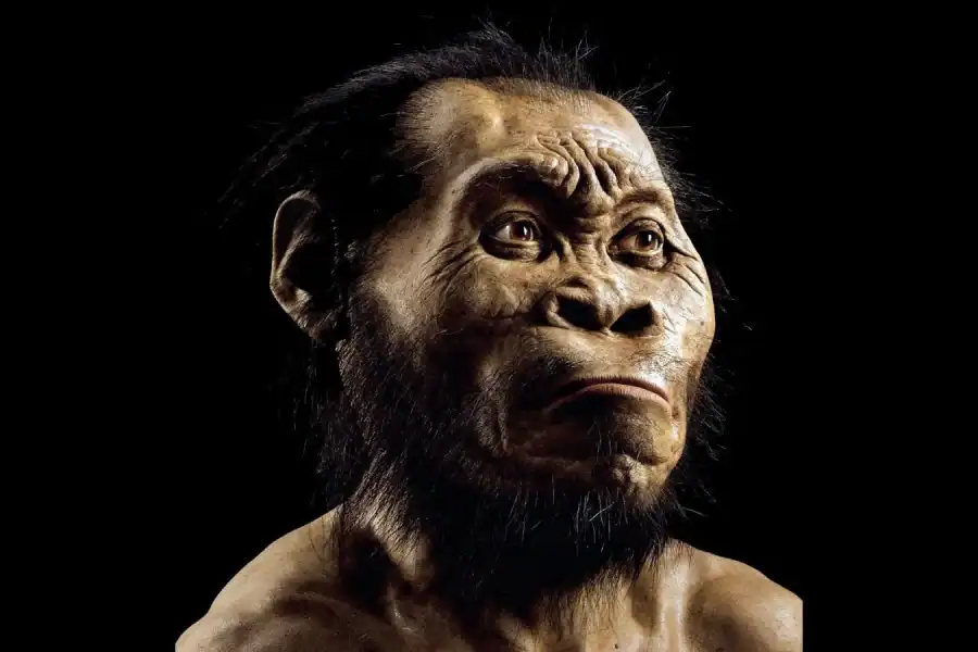 🕓Cradle of Humankind and Sterkfontein Caves Half-Day Tour