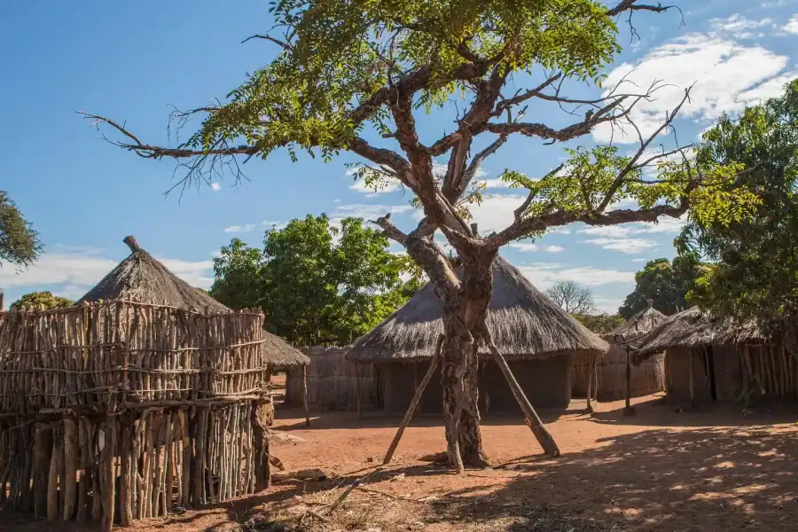 🕓Cultural And Village Tour