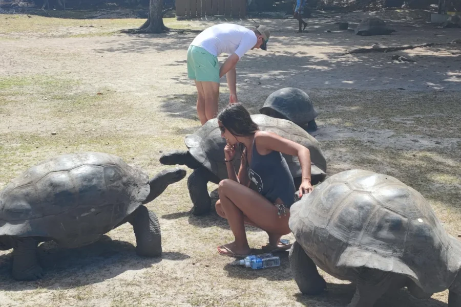🕓Curieuse Guided Tour, St Pierre, BBQ& 2 Snorkel Stops