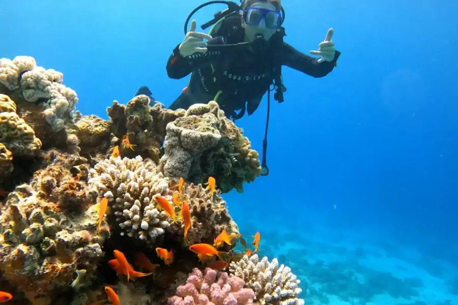 🕓Dahab: Beginner Scuba Dive at Lighthouse w Photos& Transfer