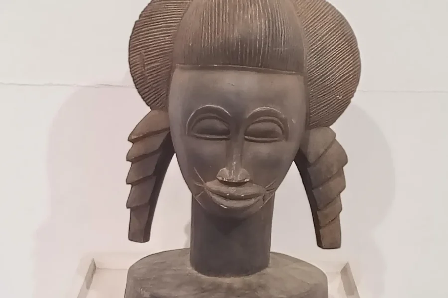 🕓Dakar: Museums of Black Civilization& Théodor Monod Tour