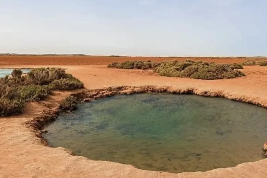 🕓Dakhla Desert Tour To Imlili Full Day